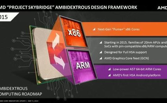 Skybridge-AMD