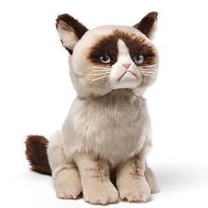 th_grumpy-cat-2