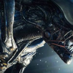 Image article Alien Isolation : The Creative Assembly travaille sur la suite !