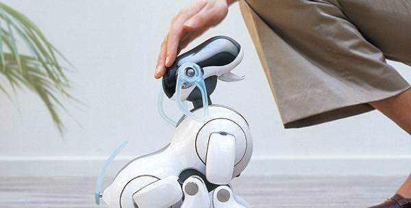 Sony arr??te le support de l'Aibo, le robot chien dont la production a ?�t?� arr??t?�e il y a 9 ans 