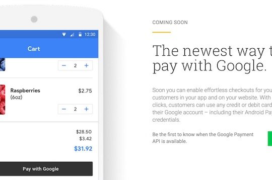 Google Payment API