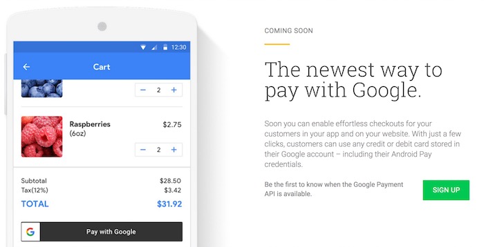 Google Payment API
