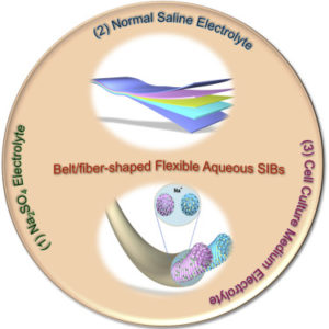 SALINE ELECTROLYTE BATTERY