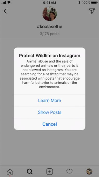 Instagram Protection Nature