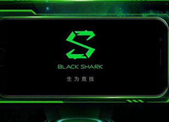 black-shark-640×427