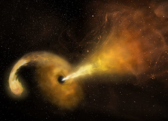 Black Hole Star consume