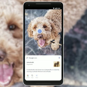 Google Lens aide désormais à prononcer les mots qui y sont traduits