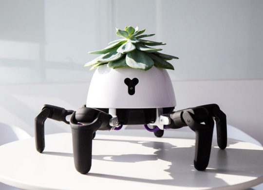 Robot Plante