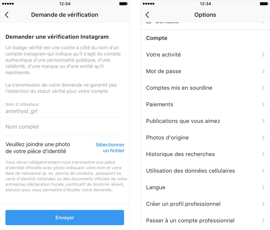 Instagram Demande De Verification Profil