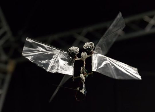 Delfly Nimble robot volant