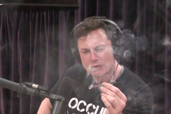 Elon Musk Weed 600x400