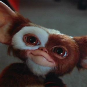 Image article Gremlins 3 : le script serait terminé et Warner n’attendrait plus que le feu vert de Steven Spielberg
