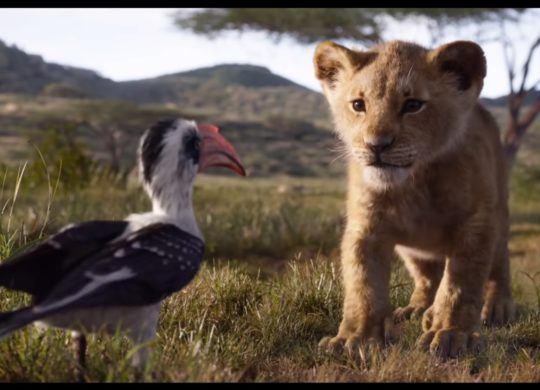 Le Roi Lion 2019 Simba Zazu