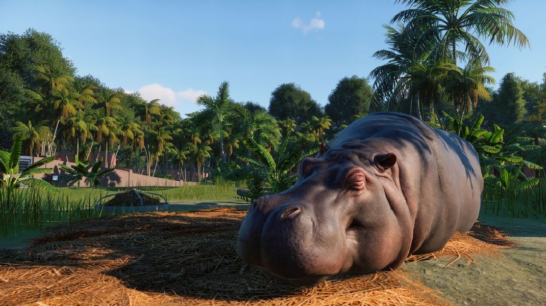 download planet zoo steam