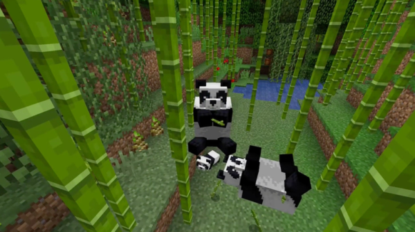 Minecraft Panda 600x336