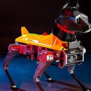 Les « soft robots » peuvent courir comme des guépards