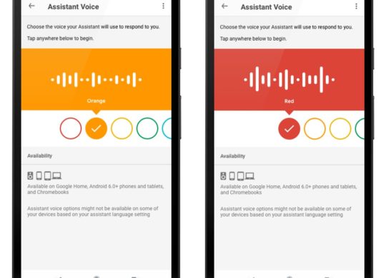 Google Assistant Coloris Voix