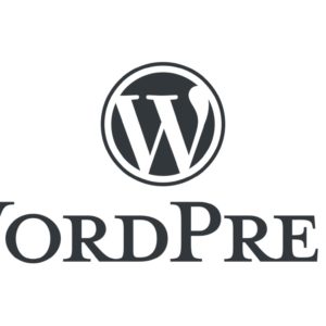 WordPress 5.5 est disponible : voici les nouveautés