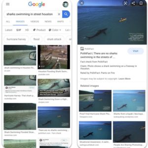 Désinformation : Google Images se met à signaler les images trompeuses