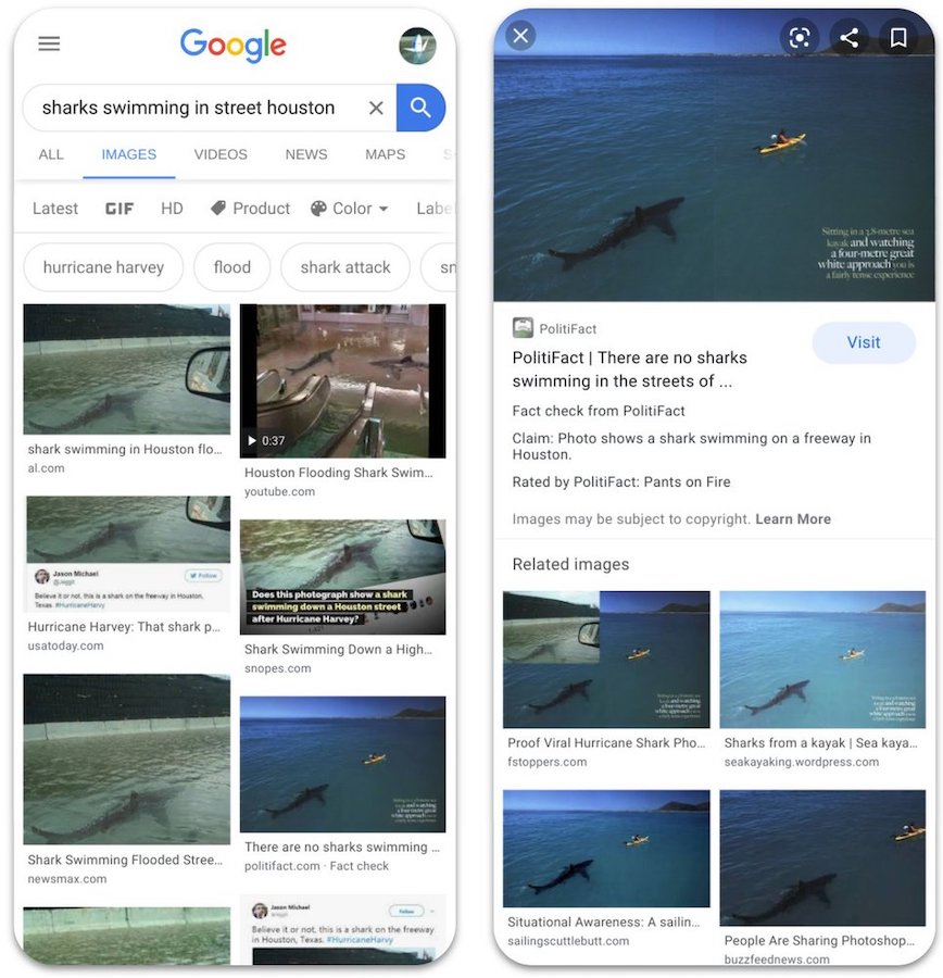 Google Images Fact Checking