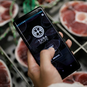 Japon : une application utilise l'IA pour juger la qualité des poissons attrapés