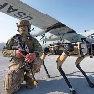 L'armée américaine teste des chiens robots