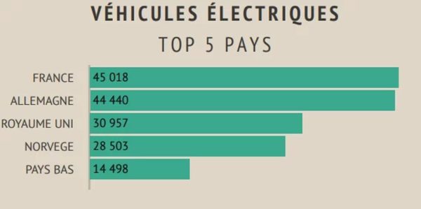 Voiture Electrique Immatriculations France 600x299