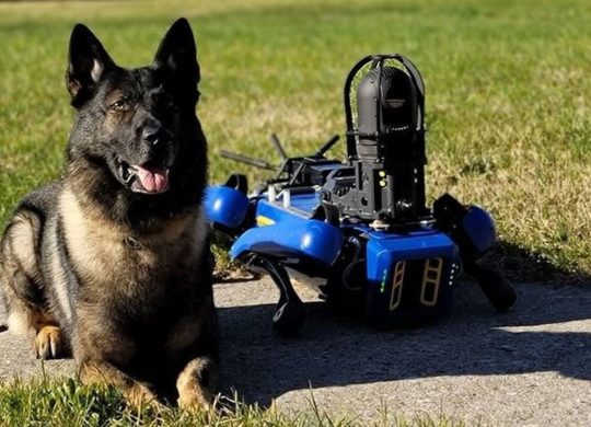 NYPD robot chien