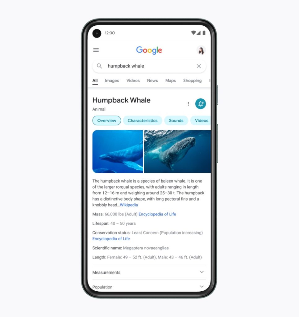 Nouvelle Interface Google Recherche Vue Mobile