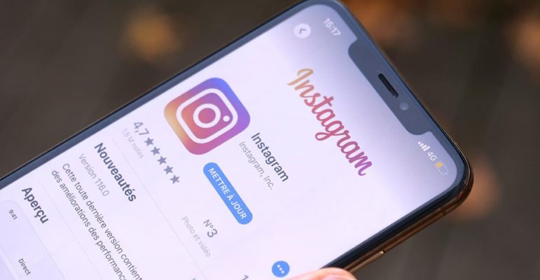 Instagram Logo Icone