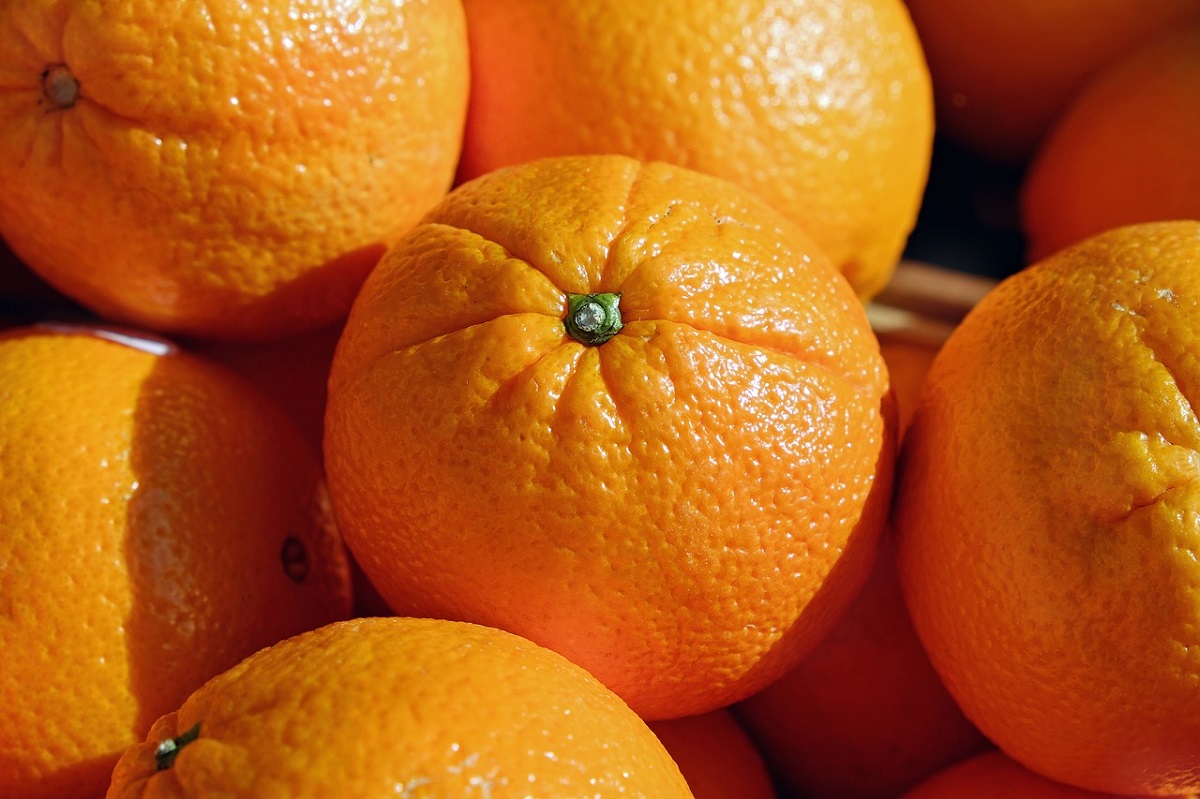 [Màj] Espagne des oranges pour produire de l’électricité KultureGeek