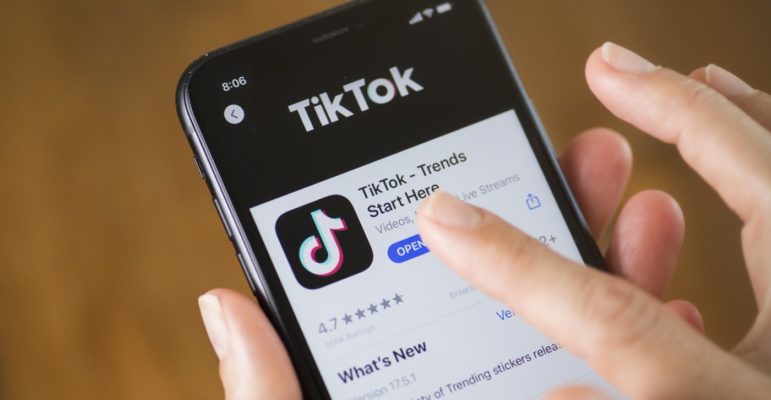 TikTok Logo Icone