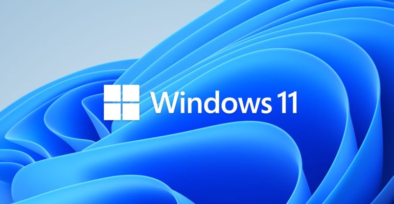 Windows 11 Logo