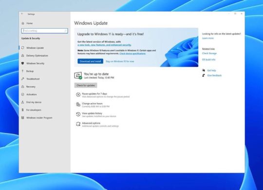 Windows 11 Disponible En Avance