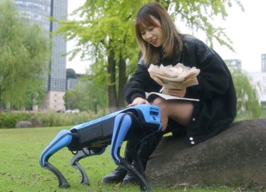 DeepRobotics chien robot