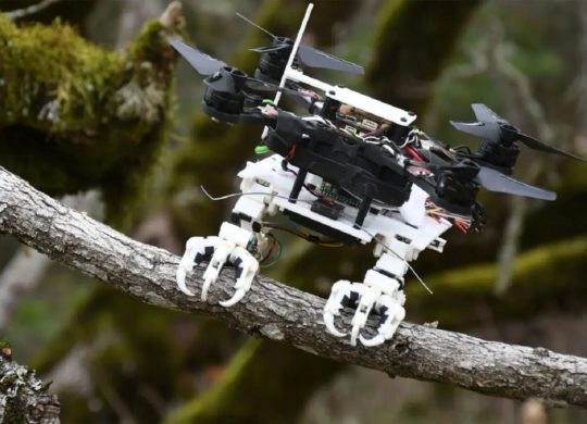 SNAG drone rapace