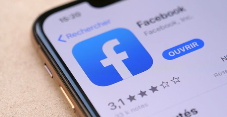 Facebook Logo Icone