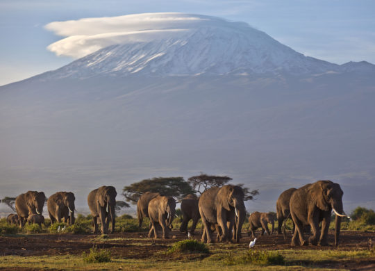 Montage Kilimandjaro