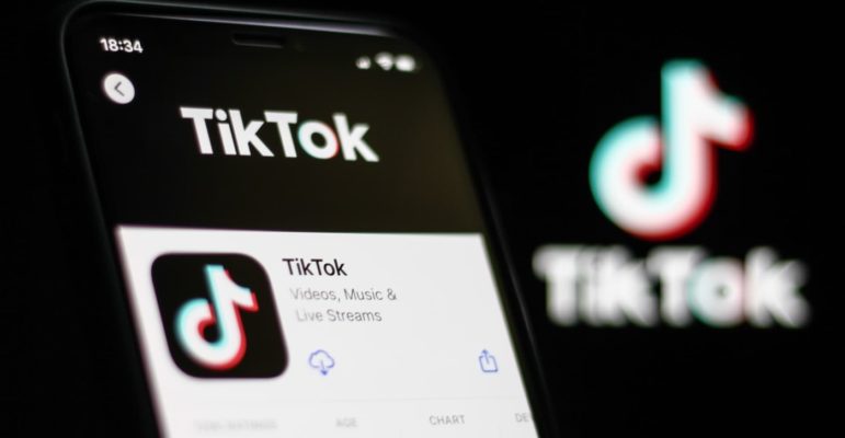 TikTok Logo Icone