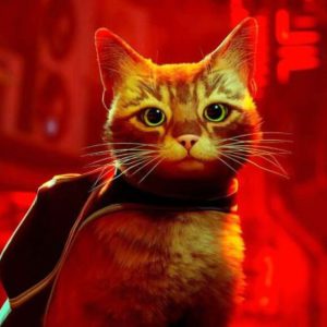 Image article PlayStation Plus : les jeux ajoutés en novembre 2025 (dont Stray)