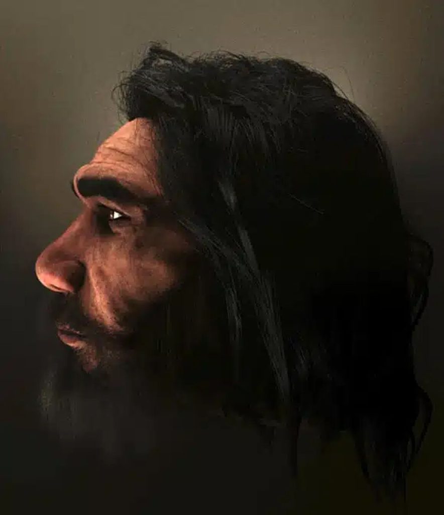 Homo heidelbergensis 1