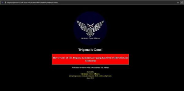 Trigona Is Gone 640x317 1 600x297