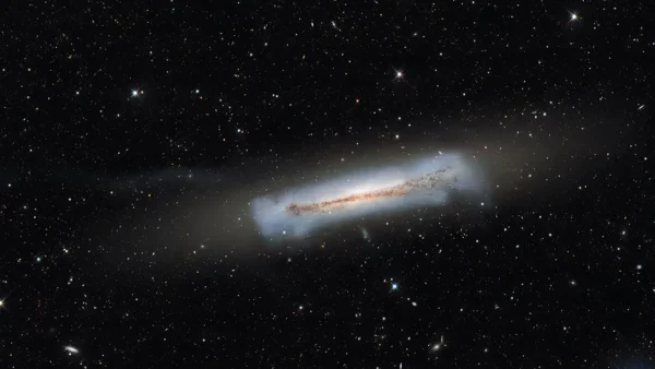 Ultra Compact Dwarf Galaxy 600x338