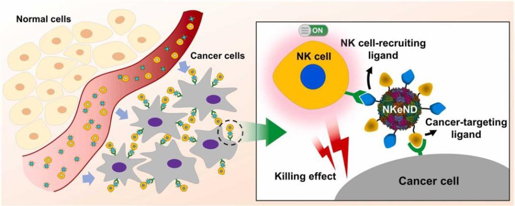 Nanodrone anticancer 1