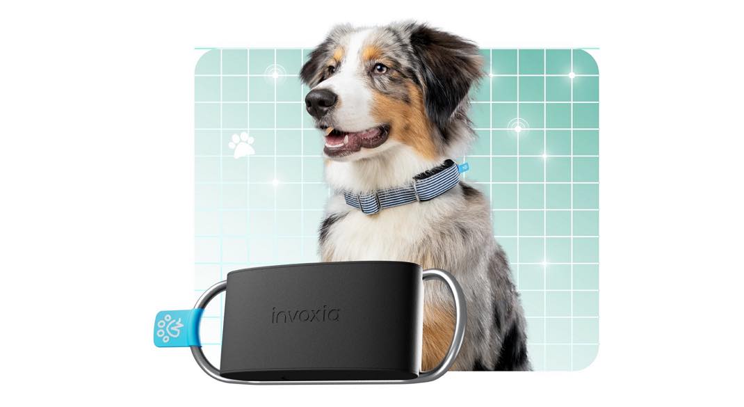 Le tracker Minitailz (IA) d'Invoxia révolutionne le suivi santé de votre  chien #CES2024