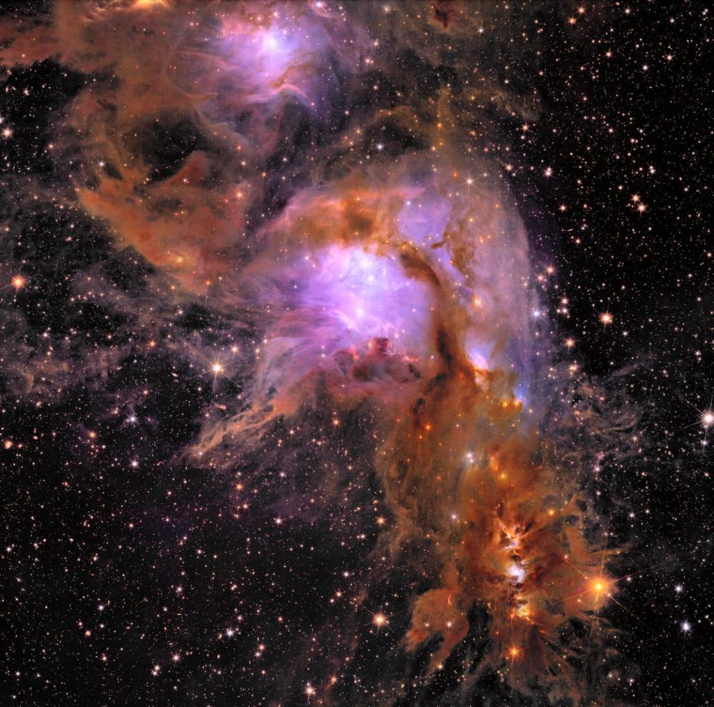Euclid ERO Messier78