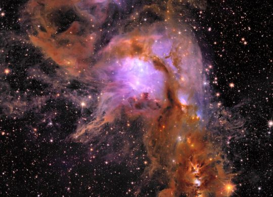 Euclid-ERO-Messier78
