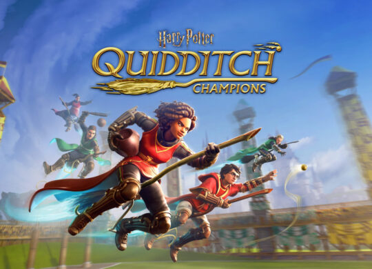 Harry Potter Quidditch Champions