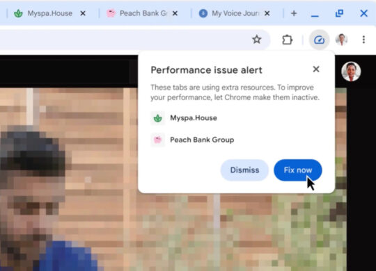 Chrome Alerte Performances Memoire