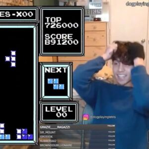 Image article Tetris : un adolescent « termine » le jeu en dépassant le niveau 255